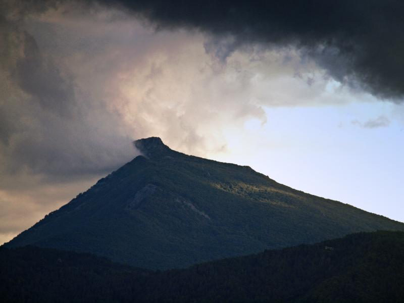 Bigorno