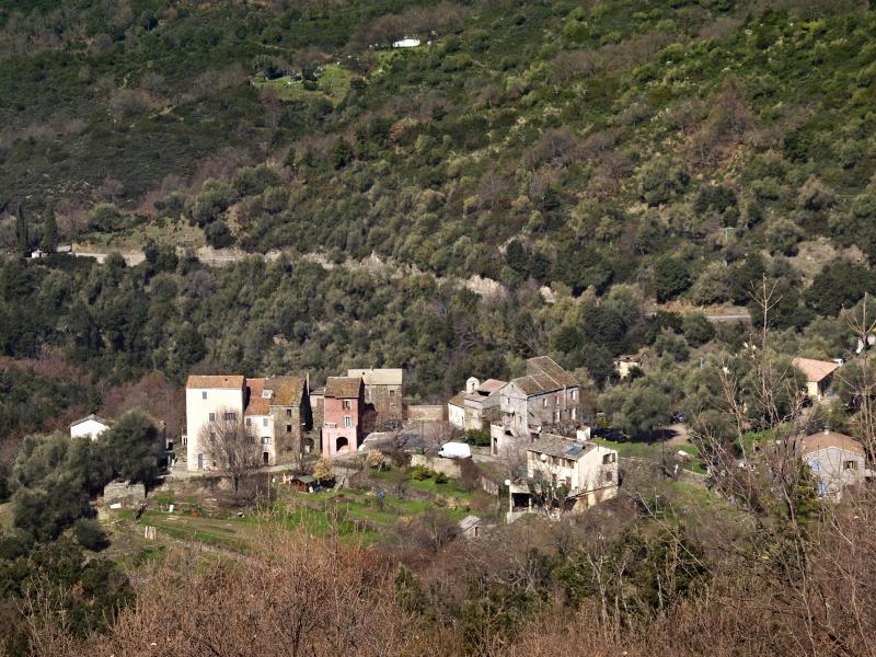 Bisinchi