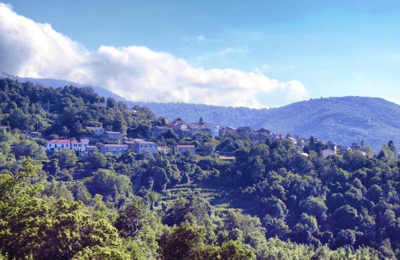 Borgo