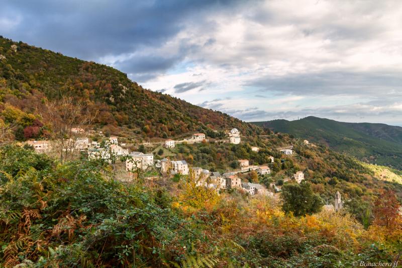 Borgo