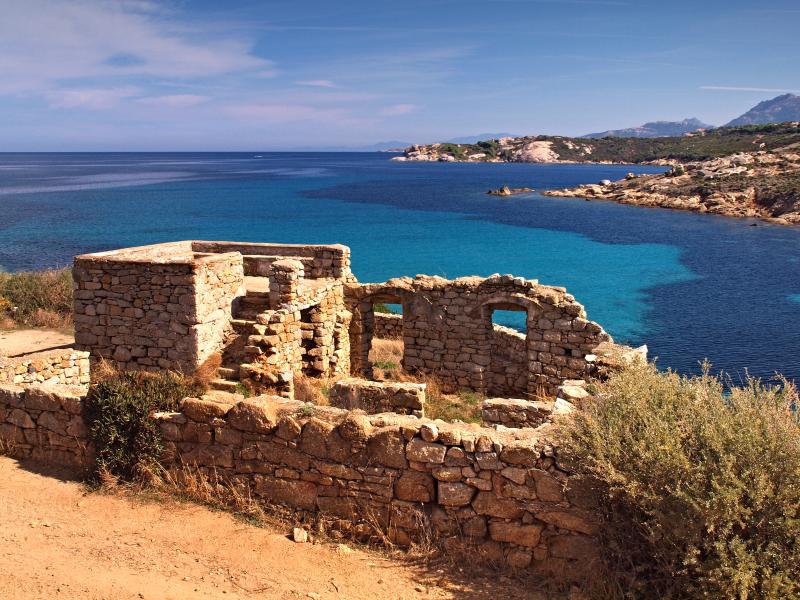 Calvi