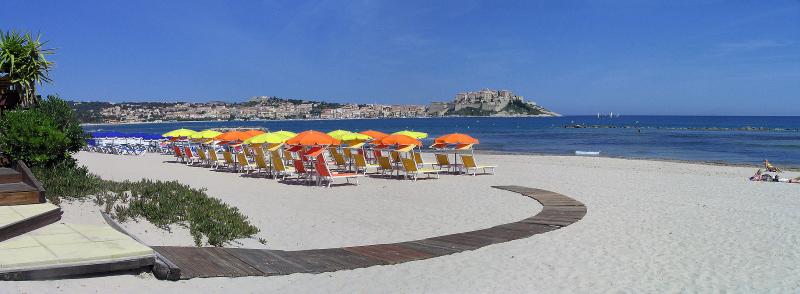 Calvi