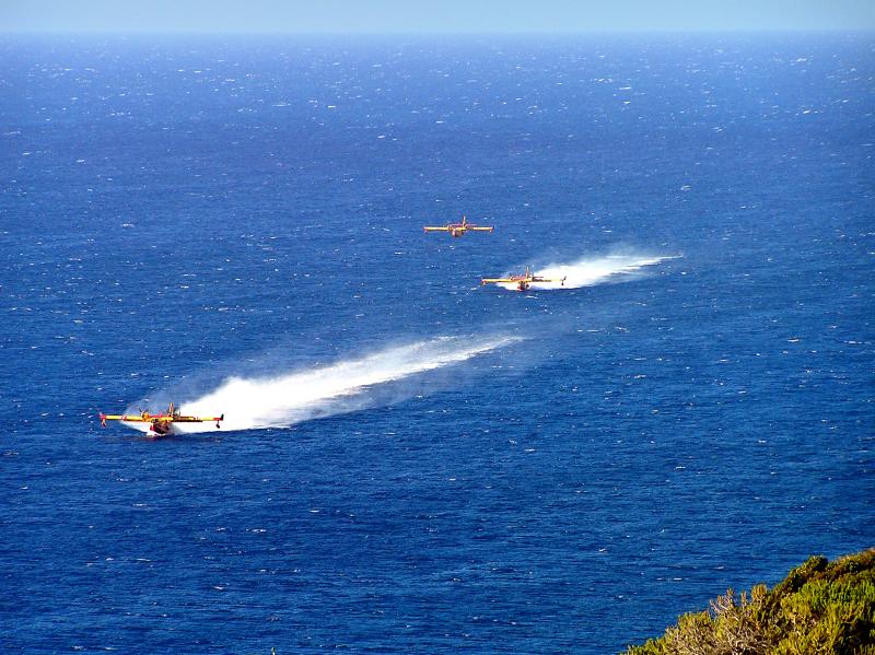 Calvi