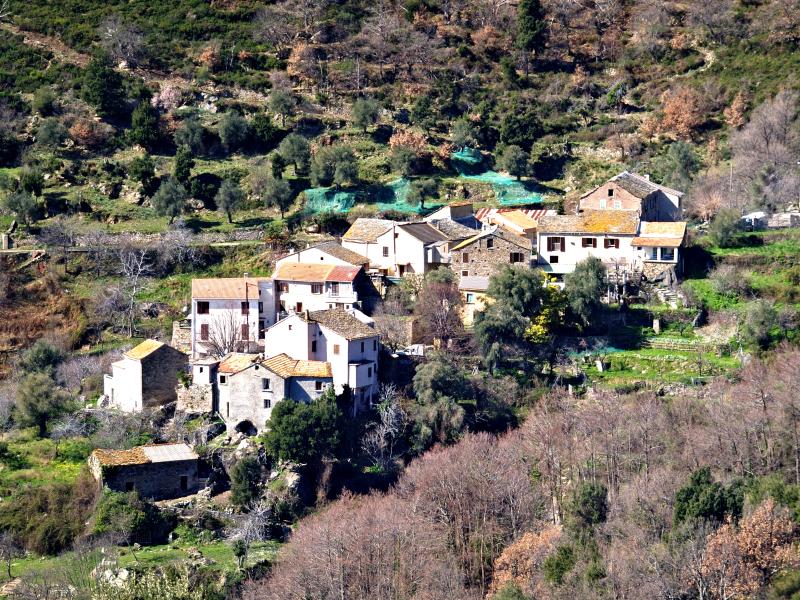 Campitello