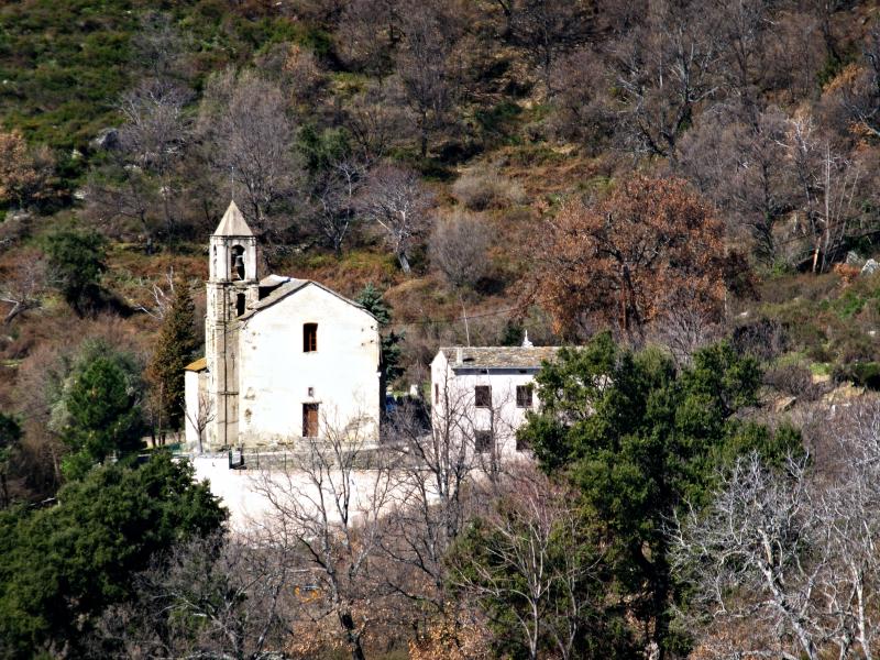 Campitello