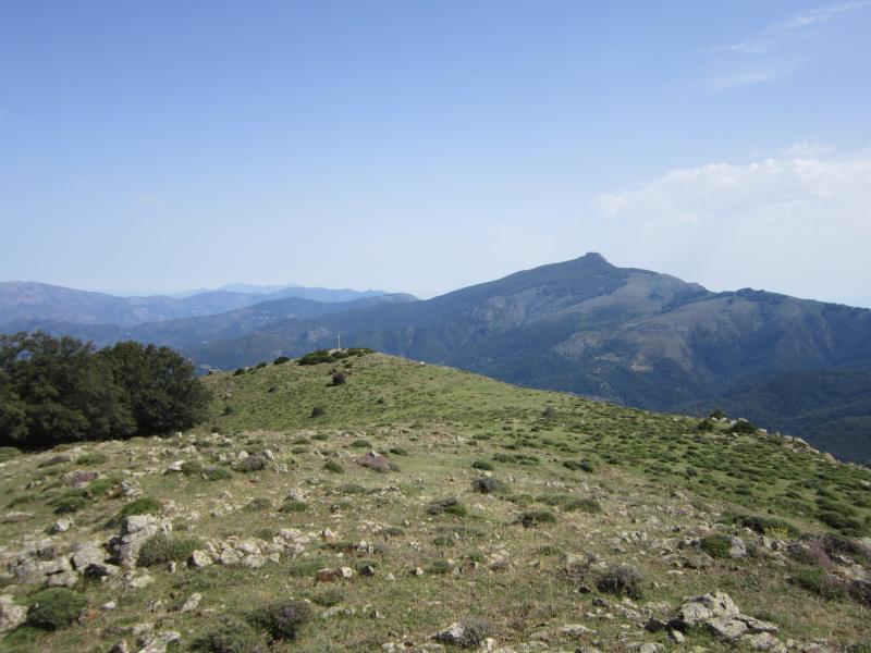 Carticasi