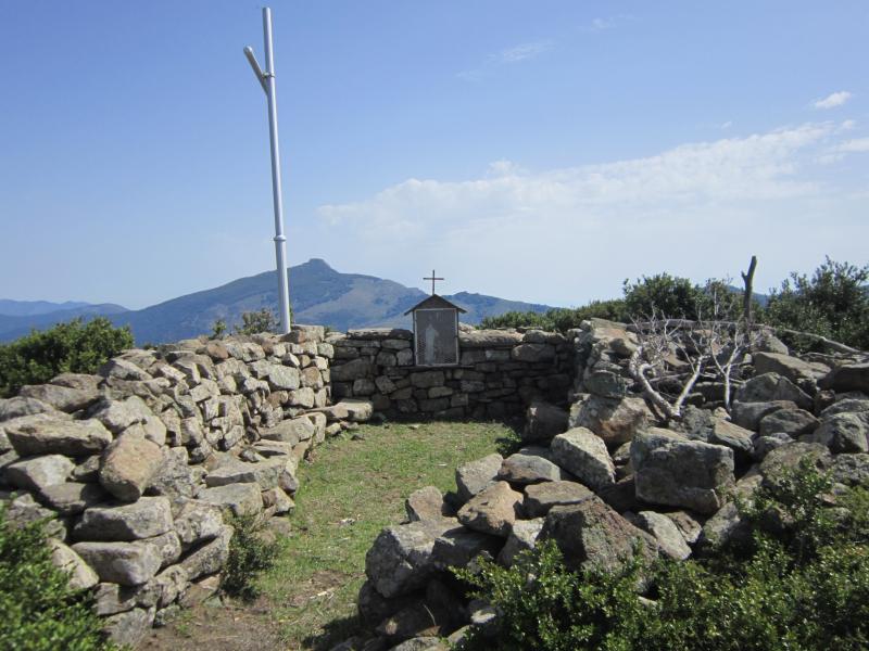 Carticasi