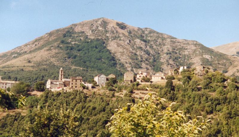 Carticasi