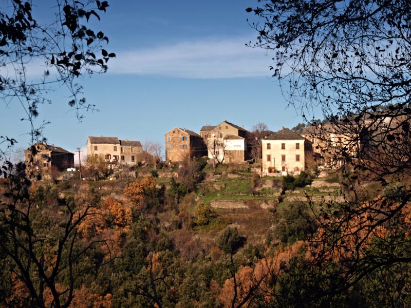 Castineta