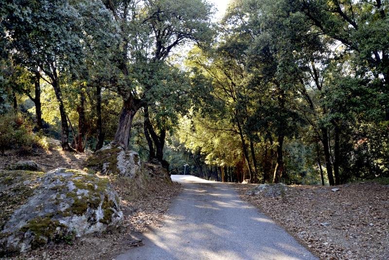 Castirla