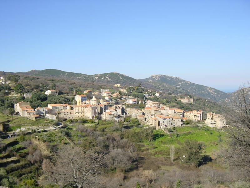 Cateri