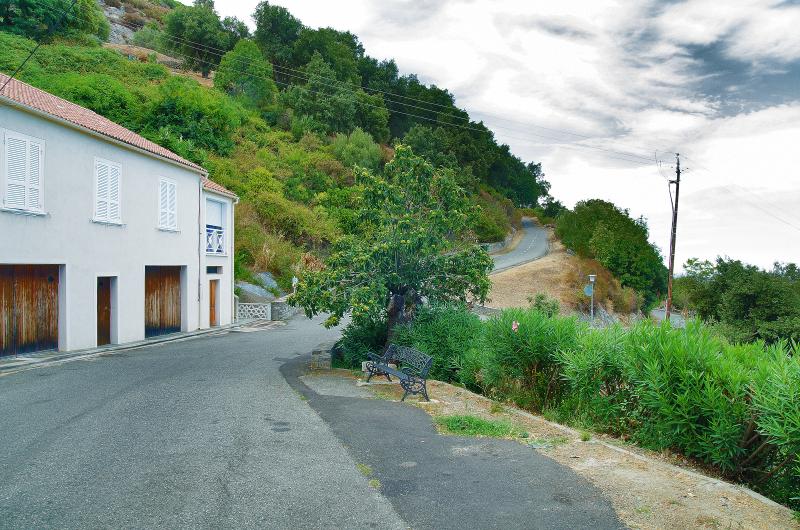 Cervione