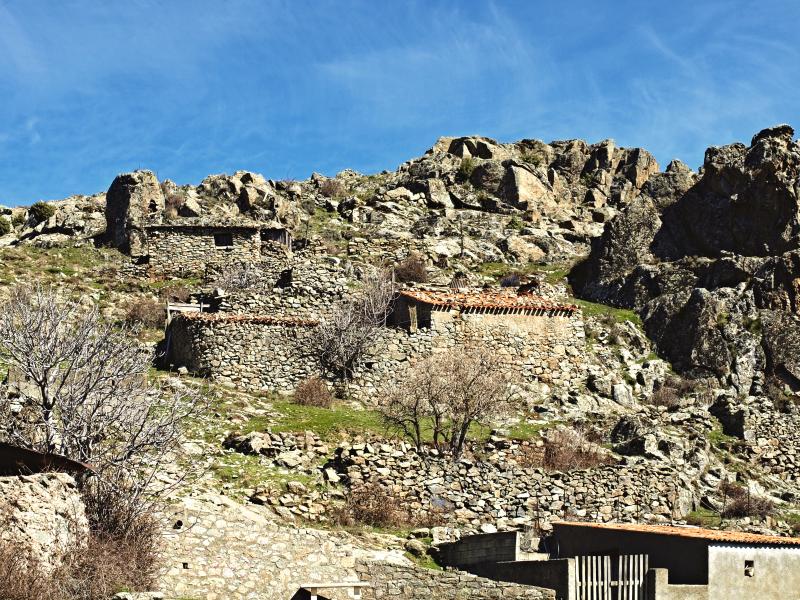 Corscia