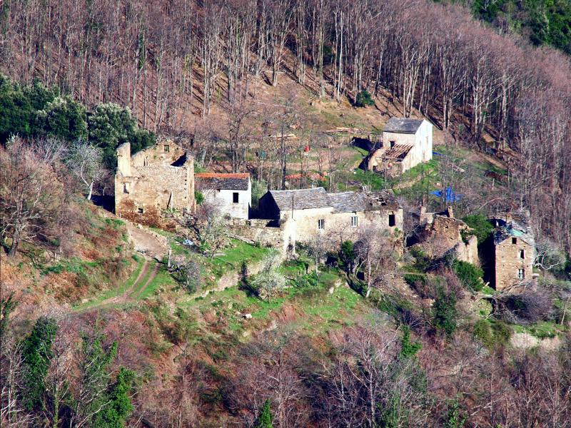 Croce