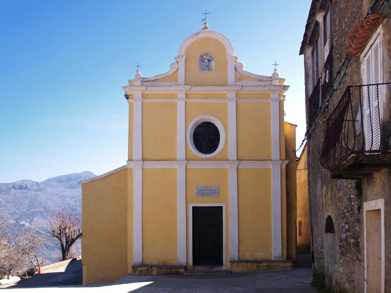Crocicchia