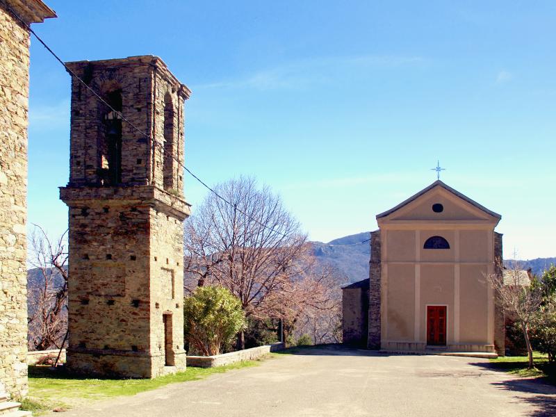 Crocicchia