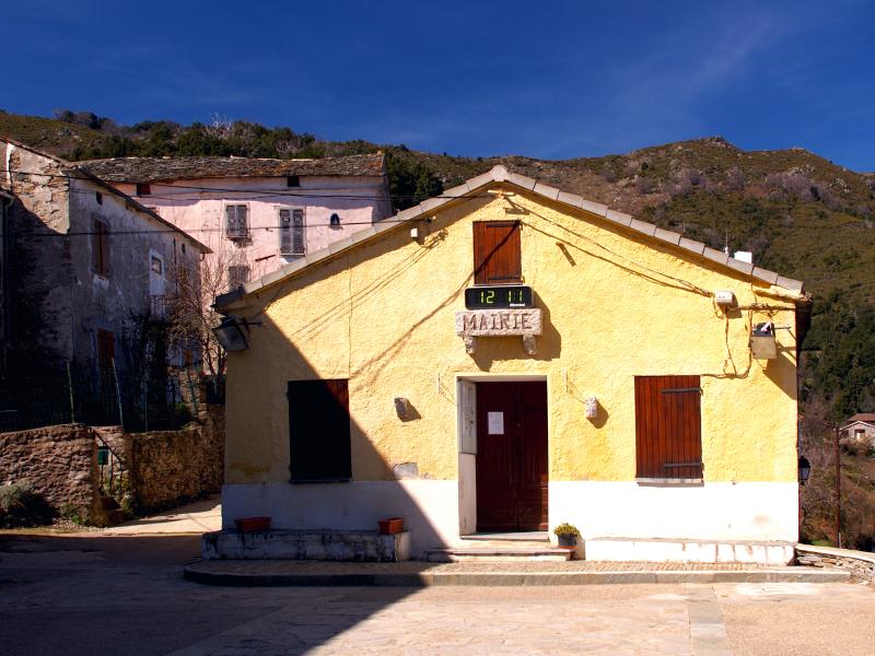 Crocicchia