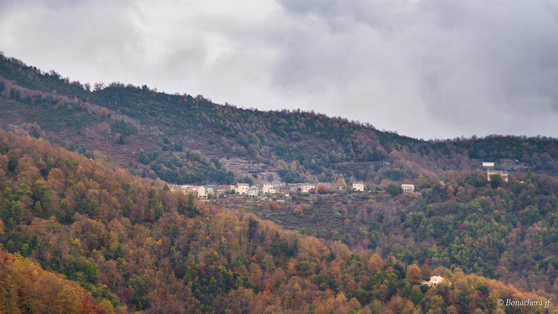 Giocatojo