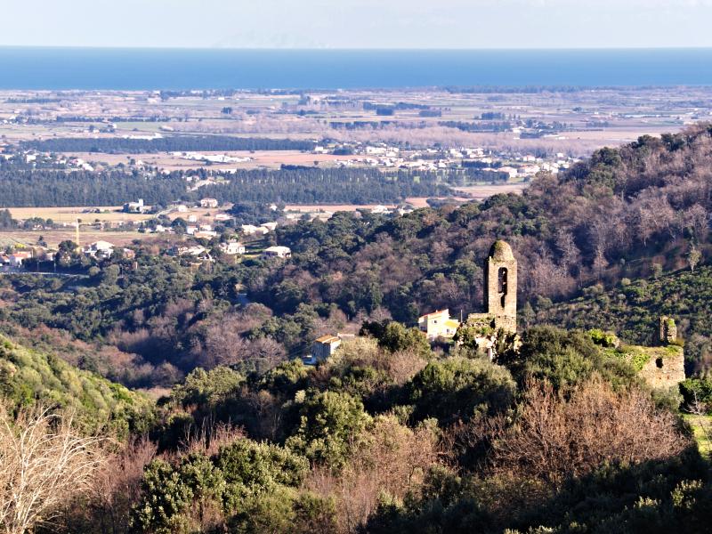 Lucciana
