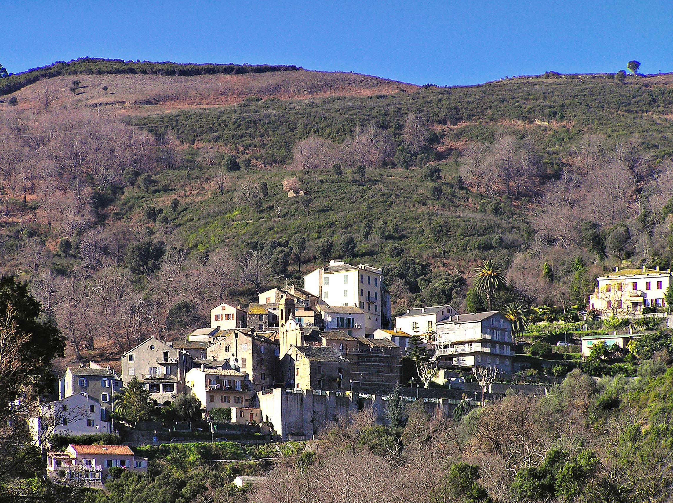 Photo 1 — Lucciana, Haute-Corse (20290)