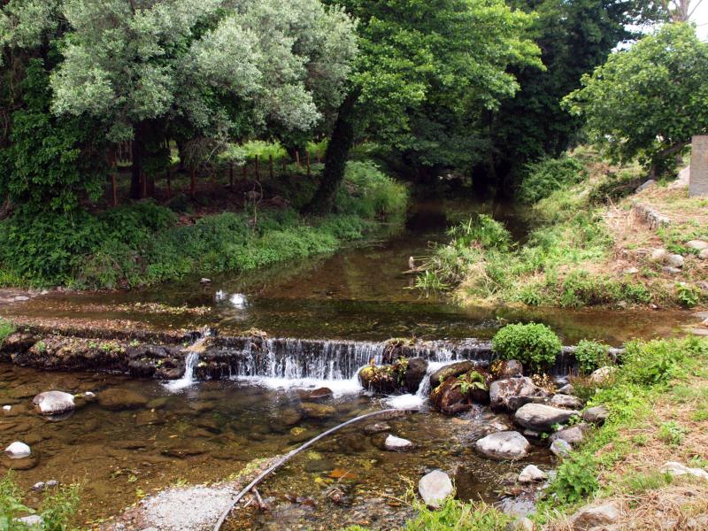 Luri