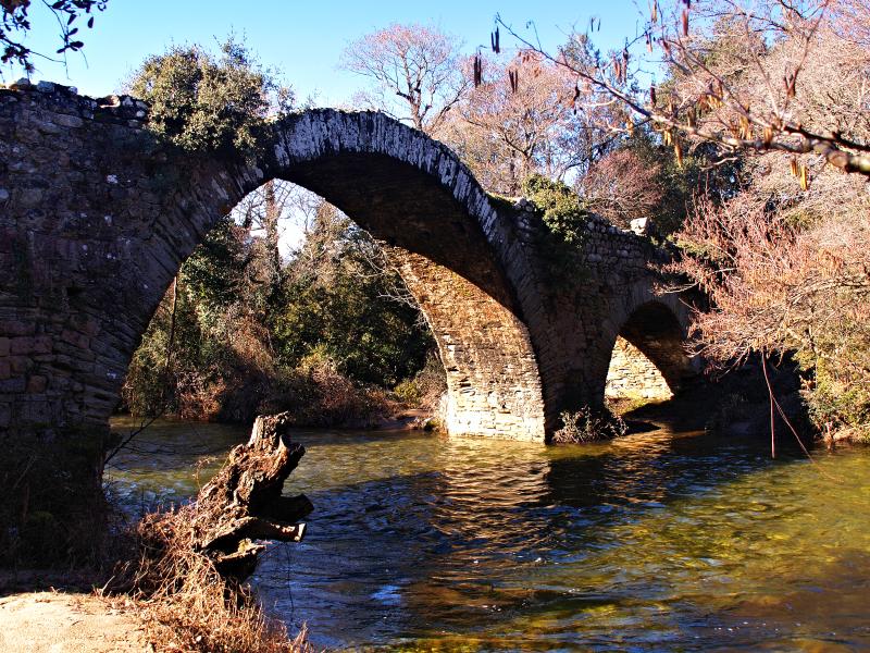 Moltifao