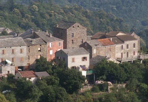 Monte