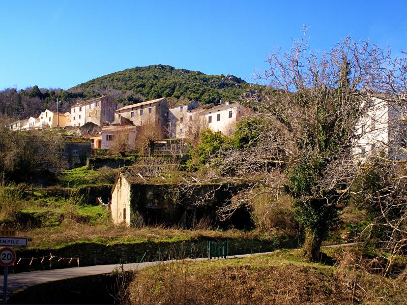 Monte