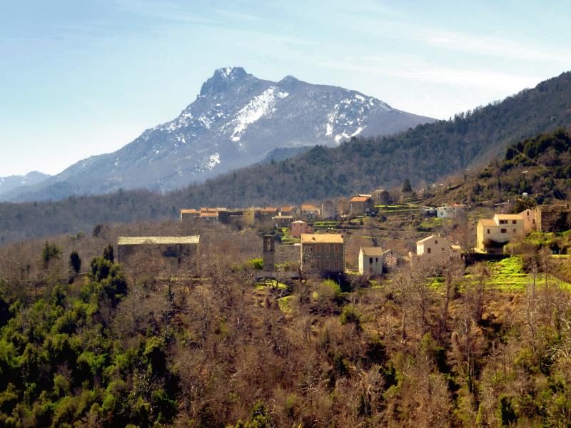 Monte