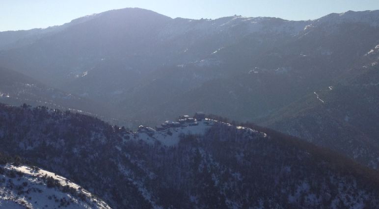 Monte