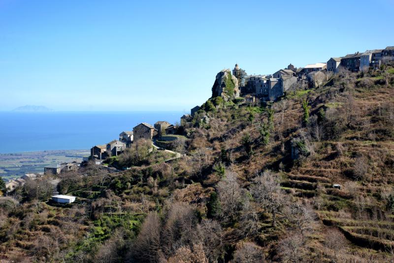 Monte