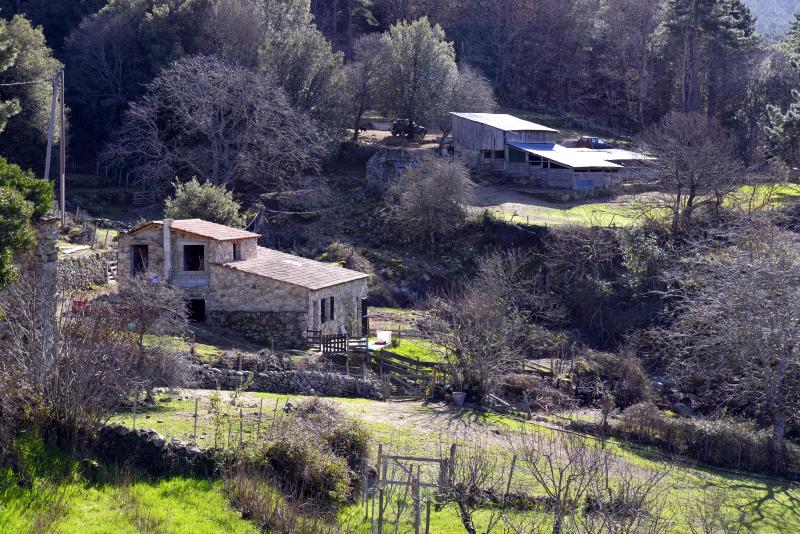 Muracciole