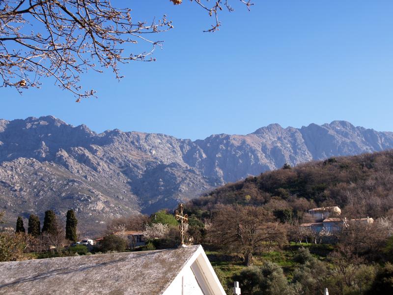 Muro