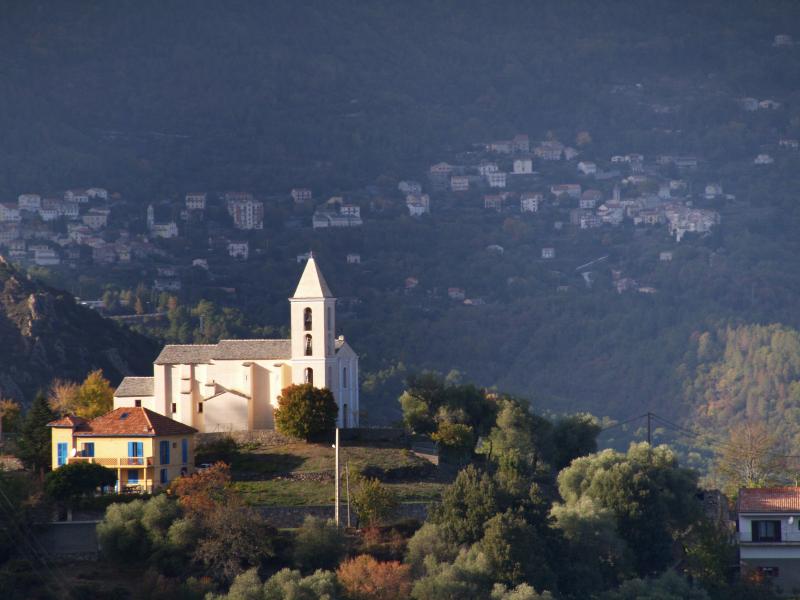 Noceta