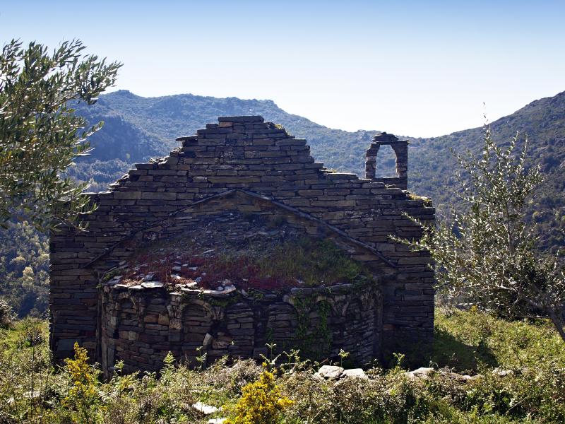 Olcani