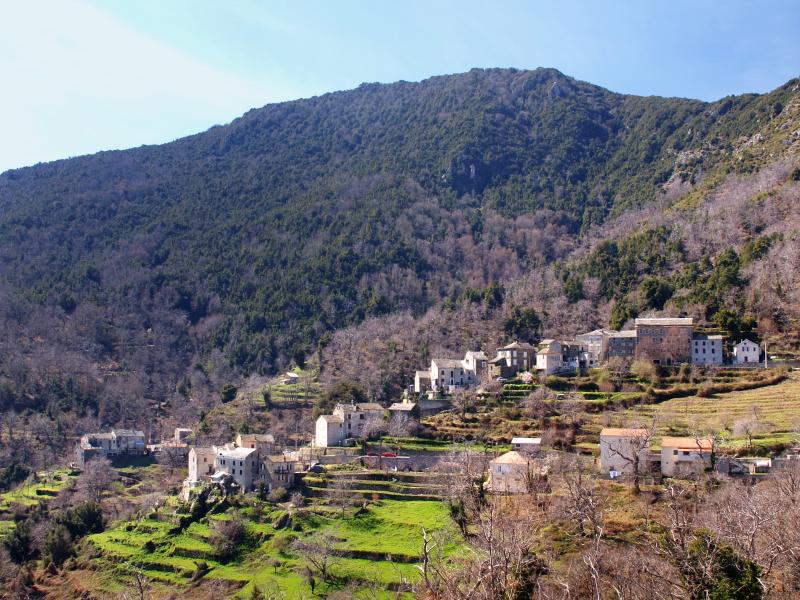 Ortiporio