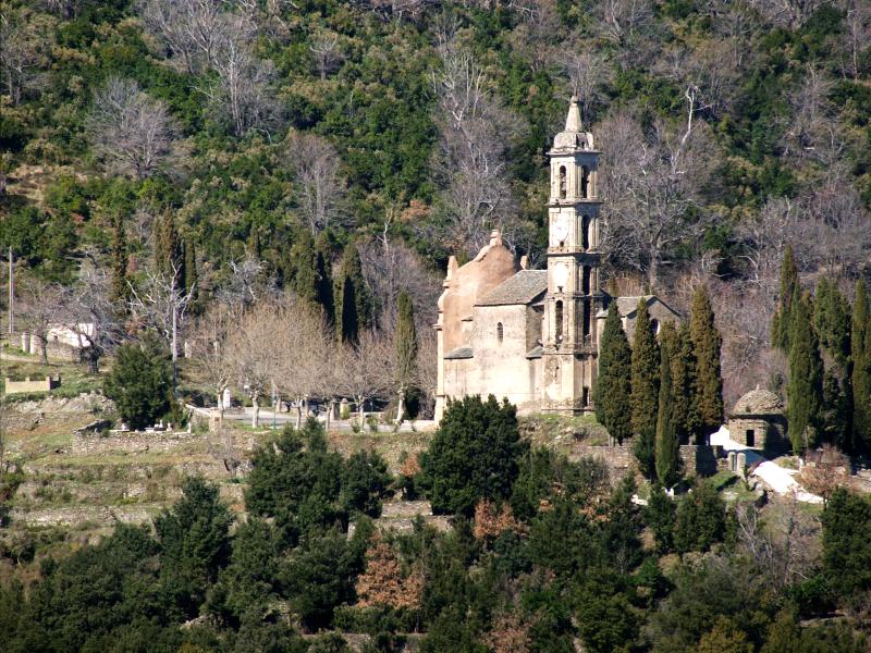 Ortiporio