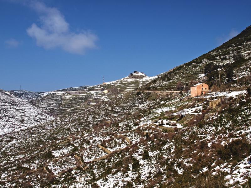 Palasca