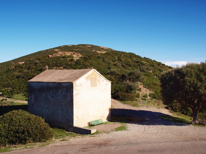 Palasca