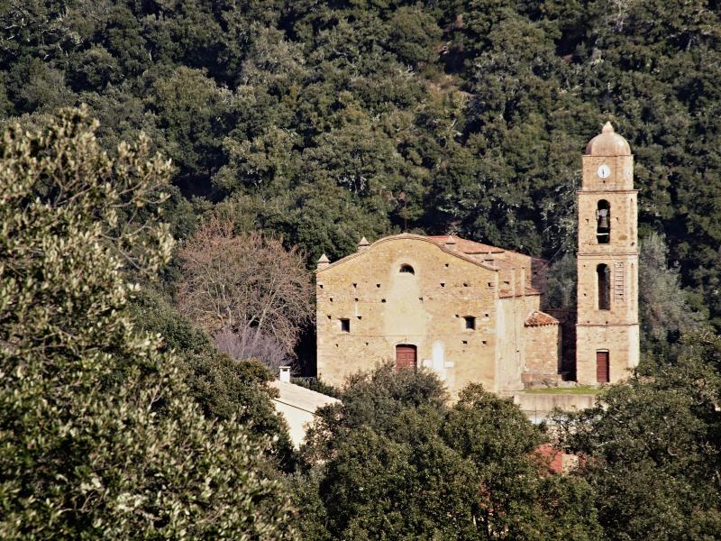 Piedigriggio