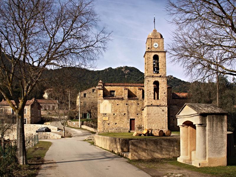 Piedigriggio