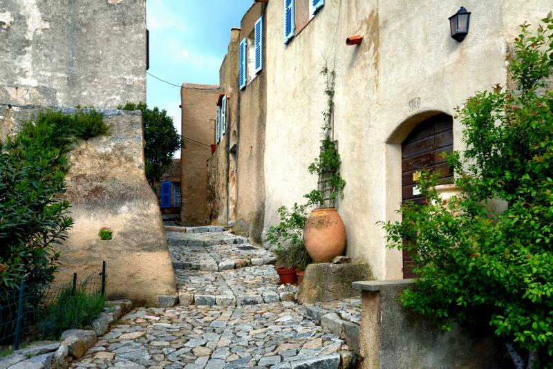 Pigna