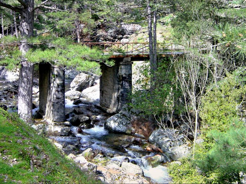 Pioggiola