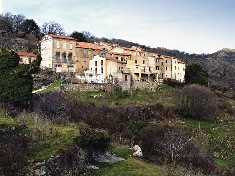 Pioggiola