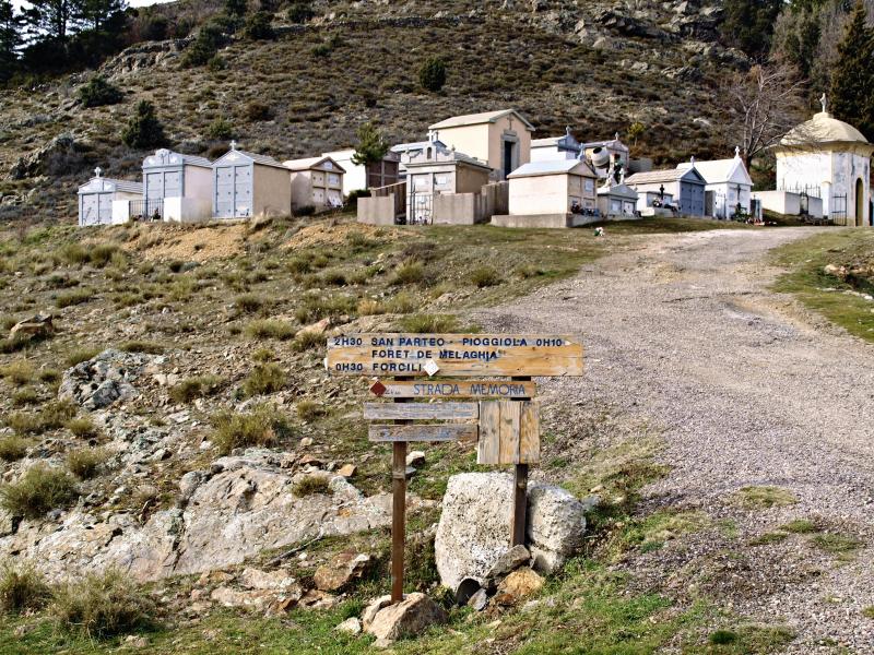 Pioggiola