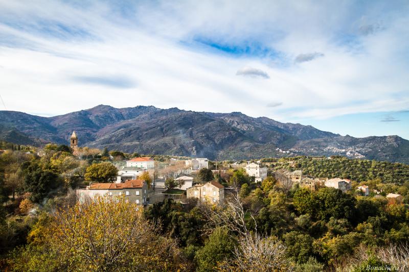 Rapale