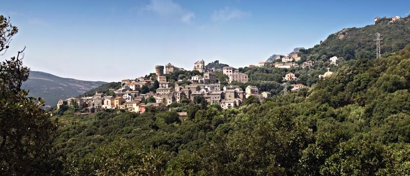 Rogliano