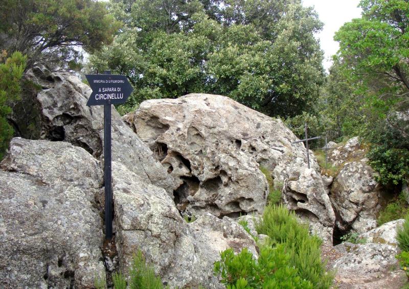 Serra-di-Fiumorbo
