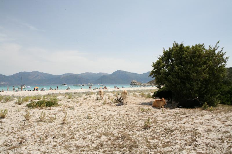 Saint-Florent