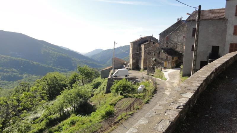 Tarrano